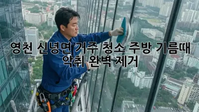 영천 신녕면 거주 청소: 주방 기름때, 악취 완벽 제거!